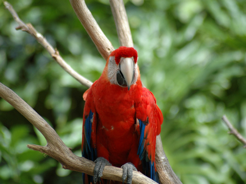 Captured 2004 10 19 00003